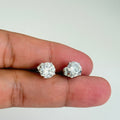 Classic Sparkle Solitaire Studs - Vinni’s Jewelry